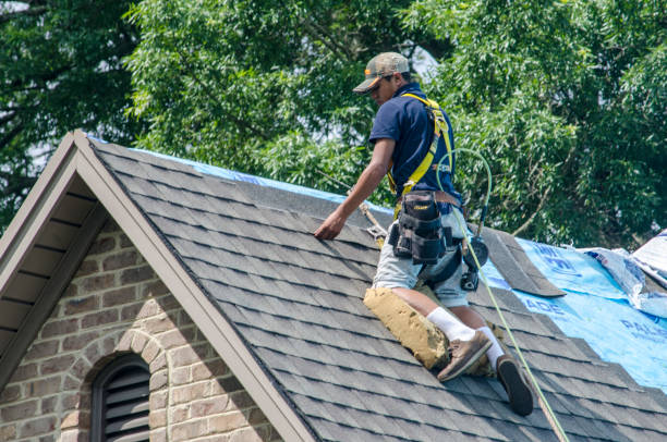 Best Roof Gutter Cleaning  in Pquemine, LA